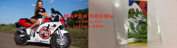 индика Краснослободск