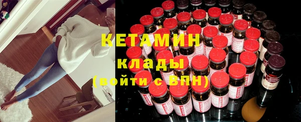 индика Краснослободск